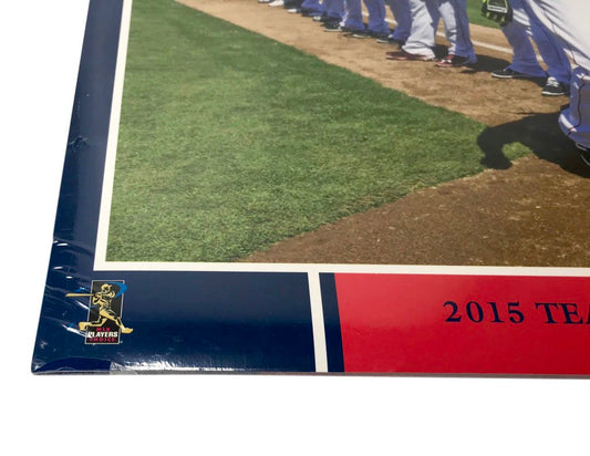 Boston Red Sox 2015 Team Calendar Perfect Timing New Sealed