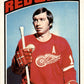 1976 Topps #171 Nick Libett Detroit Red Wings EX