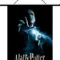 Harry Potter Order of Phoenix Fabric 22" X 32" Wall Scroll Lord Voldemort NECA