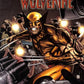 Dark Wolverine #78 (2009-2010) Marvel Comics