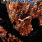 Fantastic Four: True Story #3 (2008-2009) Marvel Comics